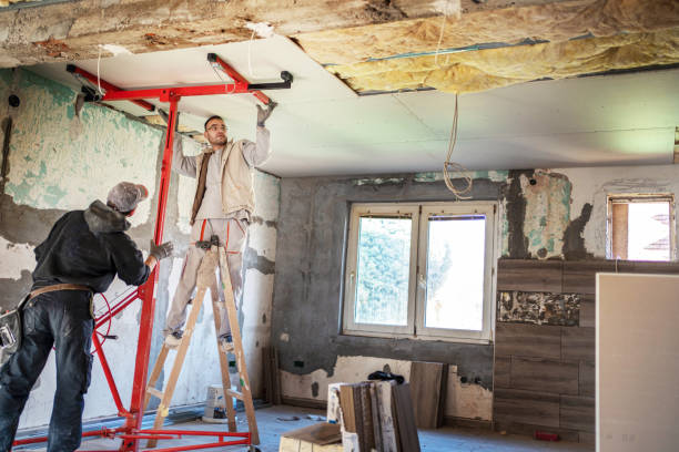 Best Insulation Maintenance and Repair in Derby, CO